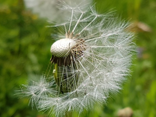 В Челябинске запустили сервис для звонков себе в будущее