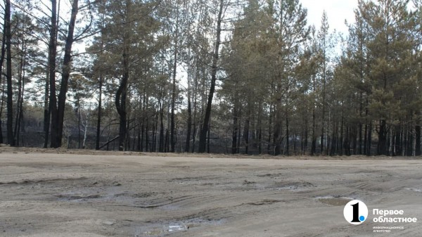 Организаторы Парижского полумарафона объявили об отмене мероприятия Организаторы Парижского полумарафона объявили об отмене мероприятия