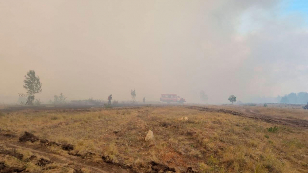 700 градусов: замглавы МЧС рассказал об огненном шторме в Челябинской области 700 градусов: замглавы МЧС рассказал об огненном шторме в Челябинской области