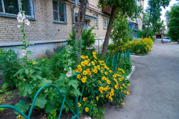 Управляющая компания «ДомМой» стремится создать комфорт для каждого жителя Управляющая компания «ДомМой» стремится создать комфорт для каждого жителя