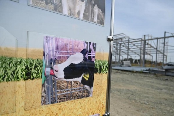 Алексей Текслер: «В планах закрепить первое место в стране по производству муки и макаронных изделий» Алексей Текслер: «В планах закрепить первое место в стране по производству муки и макаронных изделий»