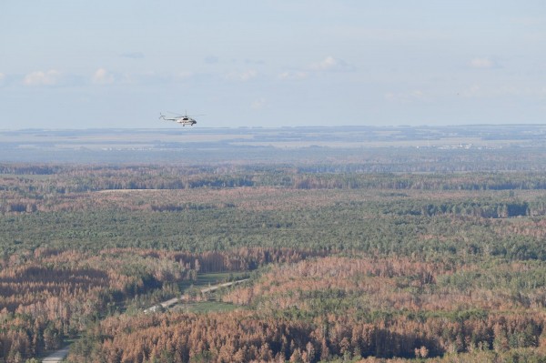 Алексей Текслер доложил президенту о помощи пострадавшим от пожаров