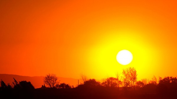 Сильнейшая жара: экстренное предупреждение МЧС в Челябинской области