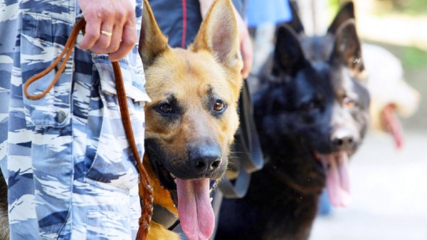 На Южном Урале усилят безопасность избирательных участков во время выборов