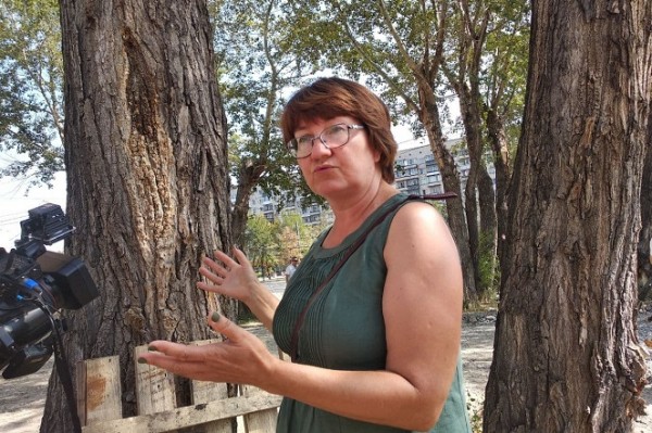 В Центральном районе Челябинска к осени сформируют цепочку скверов