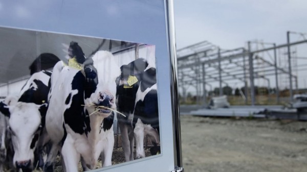 Губернатор Текслер поручил ускорить подачу газа жителям Сосновского района