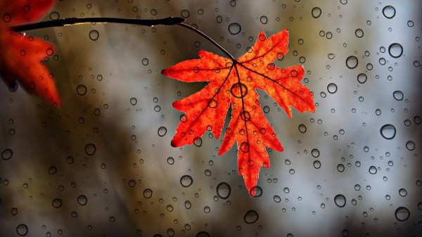 Заморозки и крепкий ветер ожидаются в Челябинской области Заморозки и крепкий ветер ожидаются в Челябинской области