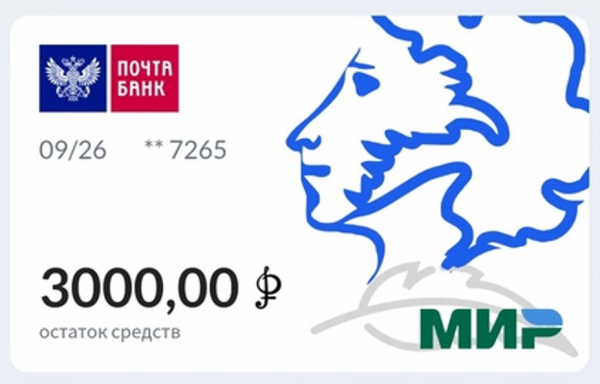 «Произошла ошибка»: как оформить пушкинскую карту и сохранить нервы «Произошла ошибка»: как оформить пушкинскую карту и сохранить нервы