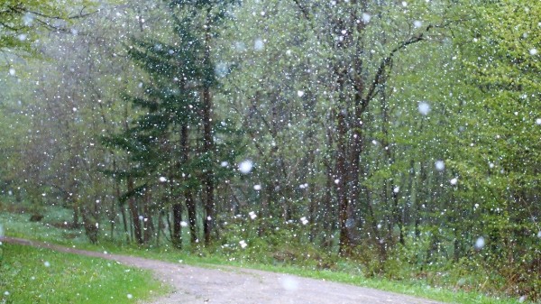 Погода в Челябинске: синоптики предупредили о температурных аномалиях Погода в Челябинске: синоптики предупредили о температурных аномалиях