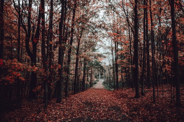 Минус 42 °С: синоптики рассказали о рекордах погоды в Челябинске в ноябре Минус 42 °С: синоптики рассказали о рекордах погоды в Челябинске в ноябре