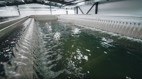 Как рекультивировали городскую свалку в Челябинске и что там будет Как рекультивировали городскую свалку в Челябинске и что там будет