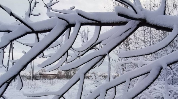 Штормовой ветер и снегопад: опасная погода задержится в Челябинской области
