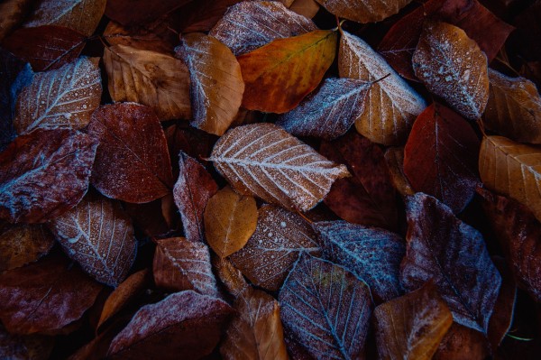 В Челябинской области резко испортится погода В Челябинской области резко испортится погода