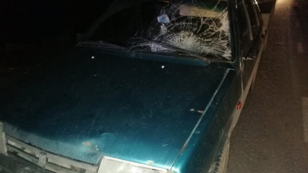 Двух пешеходов сбили насмерть в Челябинской области