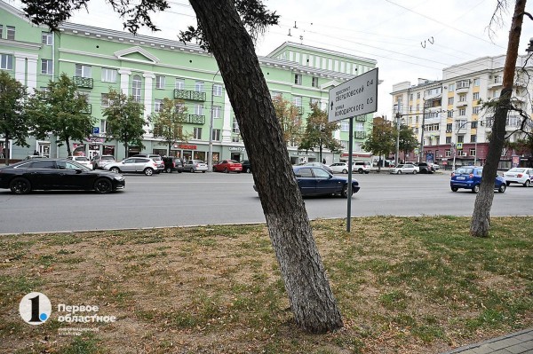 В Челябинске высадили новые даурские лиственницы