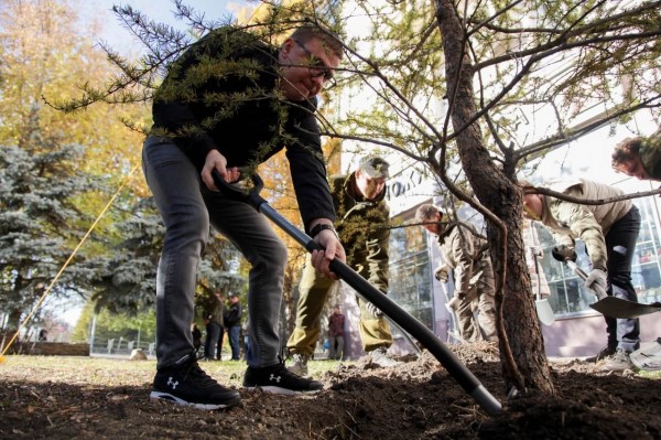В Челябинске высадили новые даурские лиственницы