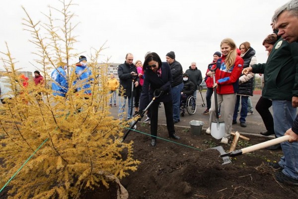 В челябинском парке «Дружба» заложили аллею спортсменов