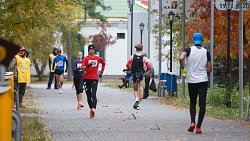 В Челябинске состоялся Всероссийский день ходьбы