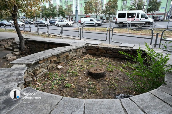 В Челябинске высадили новые даурские лиственницы