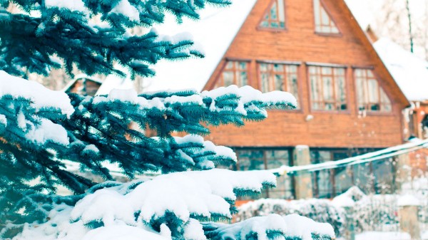 Новый год за городом: взрывной спрос на коттеджи фиксируют в Челябинской области Новый год за городом: взрывной спрос на коттеджи фиксируют в Челябинской области