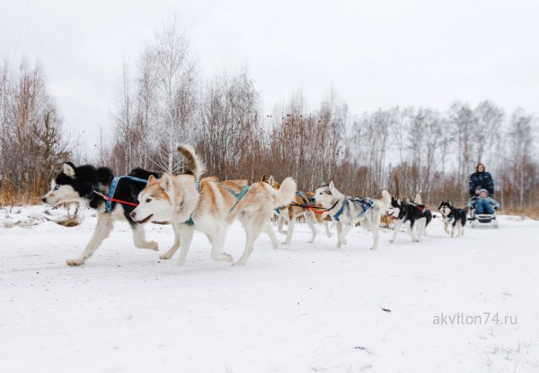 Куда поехать в новогодние каникулы в Челябинской области Куда поехать в новогодние каникулы в Челябинской области