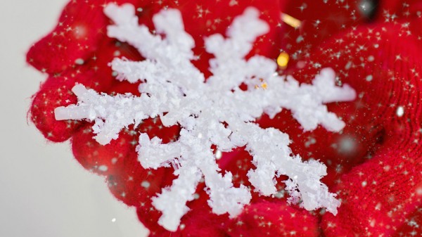 Снег, ветер и морозы прогнозируют в Челябинской области Снег, ветер и морозы прогнозируют в Челябинской области