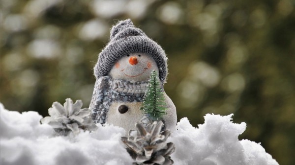 До -23 °C: синоптики составили прогноз погоды в Челябинске на неделю До -23 °C: синоптики составили прогноз погоды в Челябинске на неделю