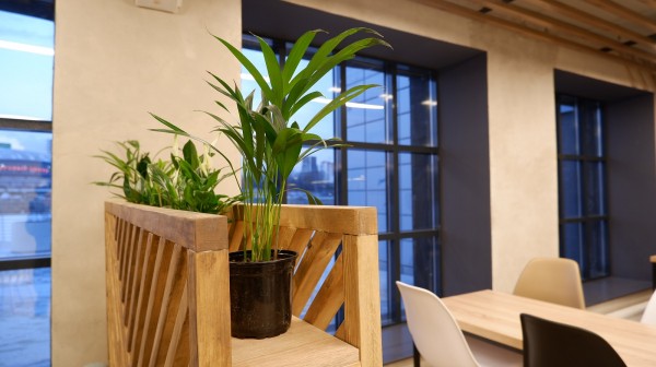 На набережной Челябинска запустили «Гастропарк». Репортаж из фуд‑молла На набережной Челябинска запустили «Гастропарк». Репортаж из фуд‑молла