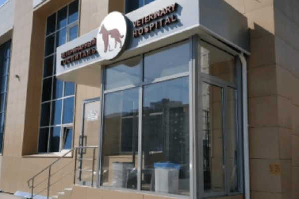 Как усыпить кошку за 30 тысяч Как усыпить кошку за 30 тысяч