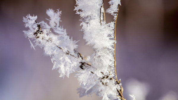 Жителей Челябинской области предупредили о резком похолодании и скачке давления