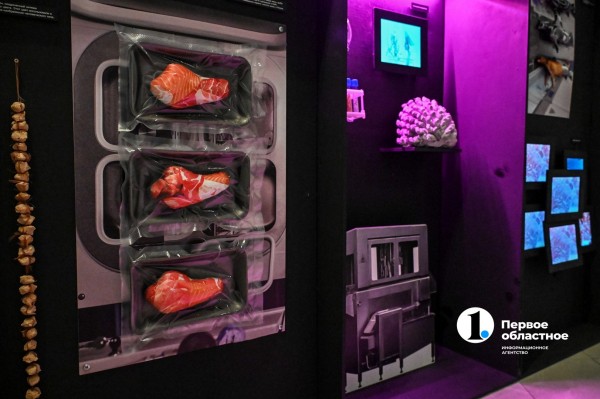 Стейки на кустах и агроном с мачете: в Челябинске открылась инсталляция об искусственном мясе Стейки на кустах и агроном с мачете: в Челябинске открылась инсталляция об искусственном мясе