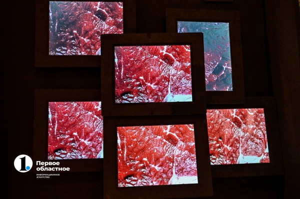 Стейки на кустах и агроном с мачете: в Челябинске открылась инсталляция об искусственном мясе Стейки на кустах и агроном с мачете: в Челябинске открылась инсталляция об искусственном мясе