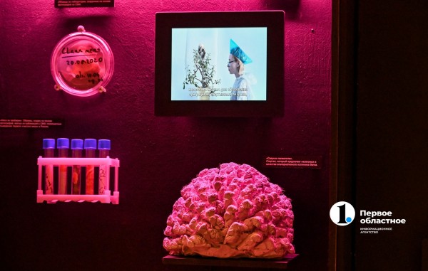 Стейки на кустах и агроном с мачете: в Челябинске открылась инсталляция об искусственном мясе Стейки на кустах и агроном с мачете: в Челябинске открылась инсталляция об искусственном мясе