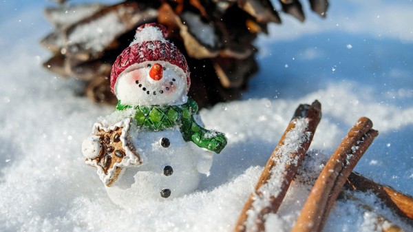 Снеговики-добряки исполнили желания детей в Челябинской области