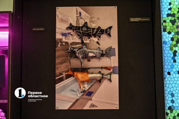 Стейки на кустах и агроном с мачете: в Челябинске открылась инсталляция об искусственном мясе Стейки на кустах и агроном с мачете: в Челябинске открылась инсталляция об искусственном мясе