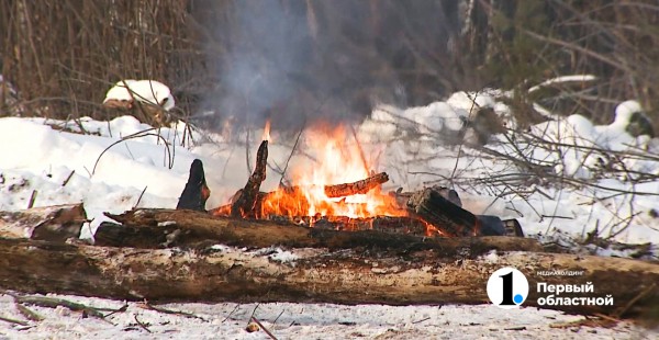 Вырубленные в городском бору деревья восстановят в мае 2022 года