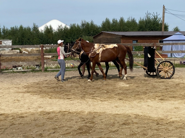 Археолог Иван Семьян: «Где Южный Урал и где древняя колесница? Ха-ха-ха»