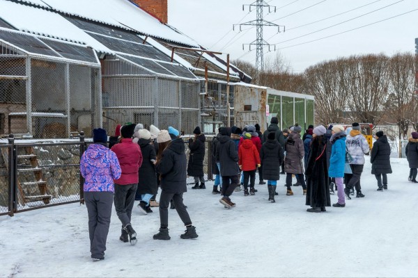 Как с пользой провести последний зимний выходной в Челябинске Как с пользой провести последний зимний выходной в Челябинске