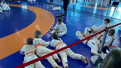 В Челябинске состоялся товарищеский турнир «Юный Воин» по киокусинкай каратэ В Челябинске состоялся товарищеский турнир «Юный Воин» по киокусинкай каратэ