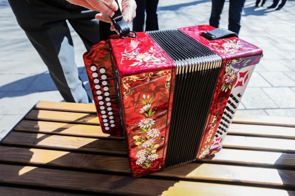 Челябинский пенсионер получил в подарок тульскую гармонь