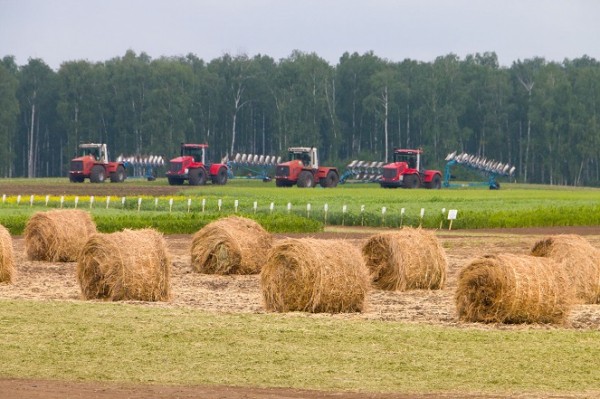 На поддержку южноуральских хлебопекарей выделены бюджетные субсидии На поддержку южноуральских хлебопекарей выделены бюджетные субсидии