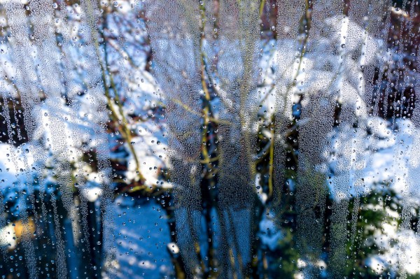 До +15 °C потеплеет в Челябинской области в выходные